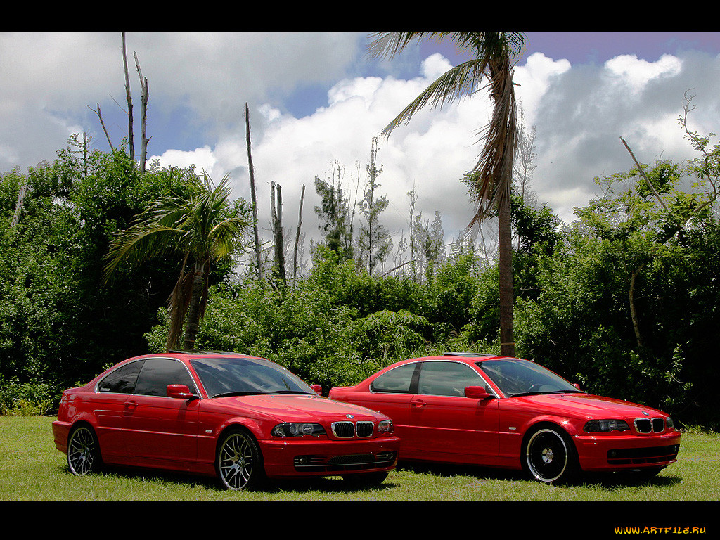 , bmw
